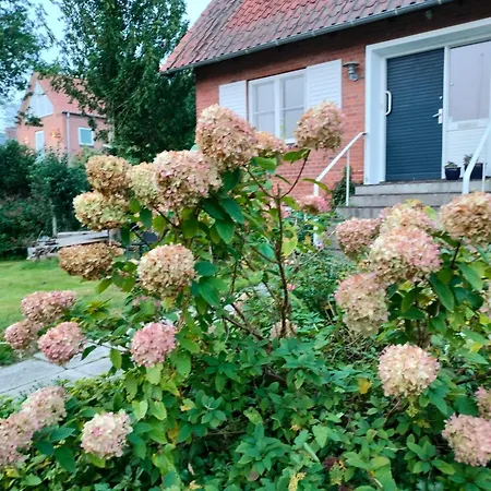 Porshojvej 게스트하우스 스키베